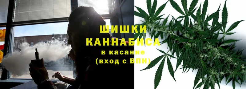 где продают   Макаров  Канабис MAZAR 